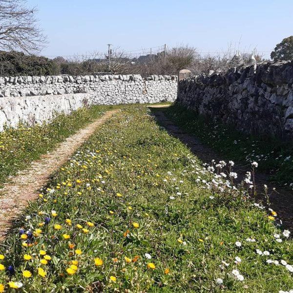 B&B Trulli Sotto La Cupa Martina Franca Exteriör bild