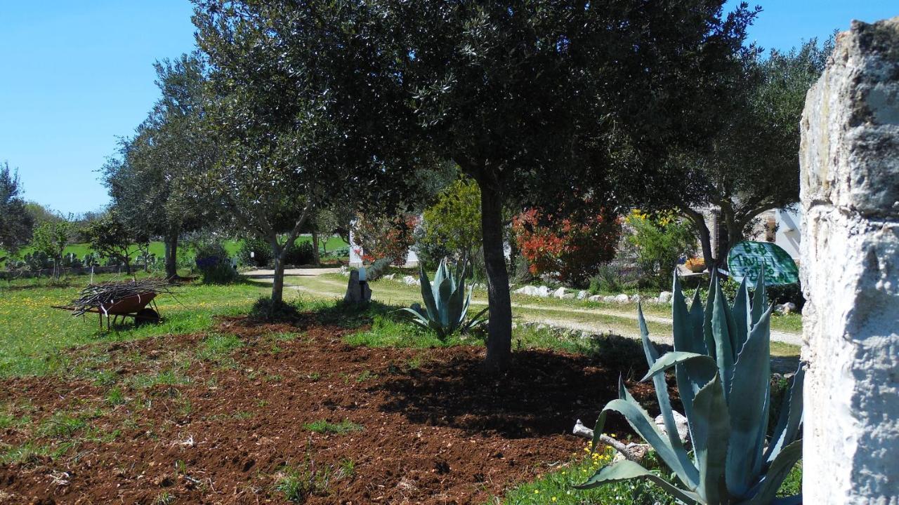 B&B Trulli Sotto La Cupa Martina Franca Exteriör bild