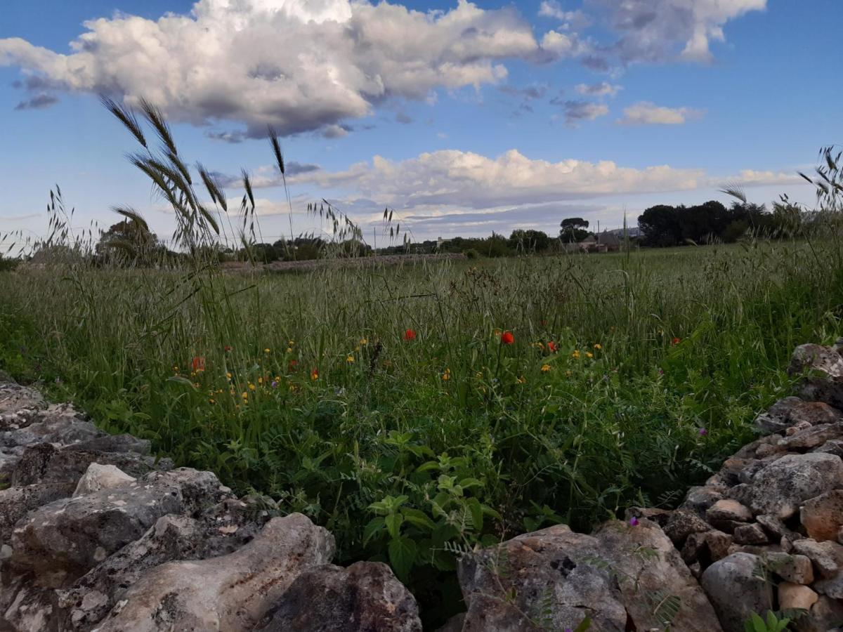 B&B Trulli Sotto La Cupa Martina Franca Exteriör bild